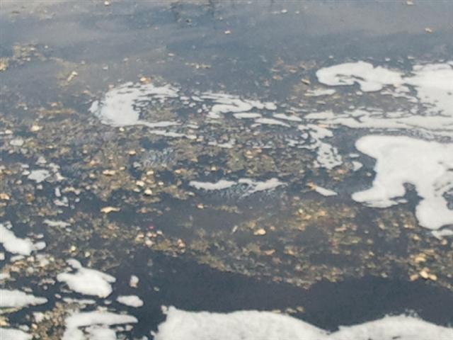 20130223_WP000242.jpg