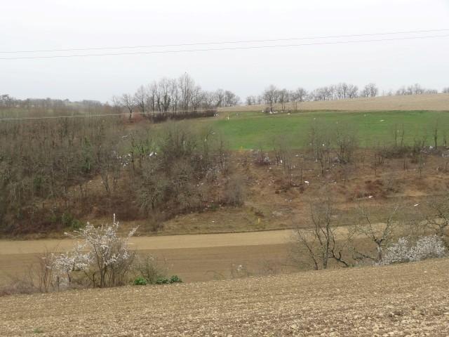 20170307-143955-DM006.jpg