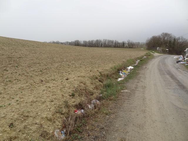 20170307-151800-DM008.jpg